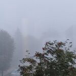 IMGW ostrzega przed gęstą mgłą