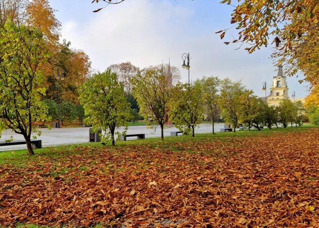 Początek tygodnia bez opadów