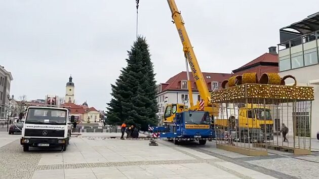 Na Rynku Kościuszki już stanęła choinka