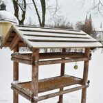 W Białymstoku rozstawiono 36 karmników. Miasto zachęca do dokarmiania ptaków