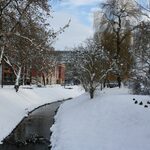 Czy w styczniu czeka nas atak zimy? Długoterminowa prognoza pogody dla Białegostoku