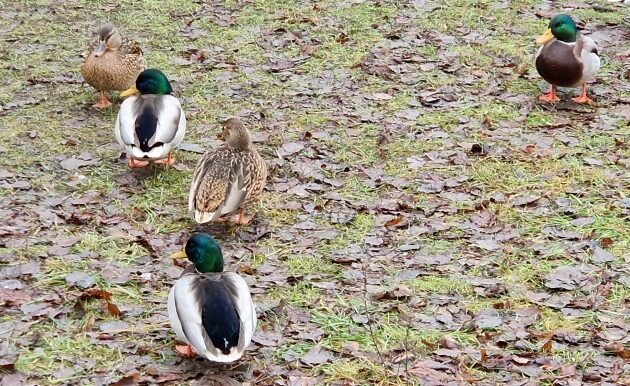 W ciągu dnia temperatura będzie na poziomie zera