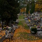 Masz problem ze znalezieniem grobu? Pomoże internetowa wyszukiwarka osób pochowanych
