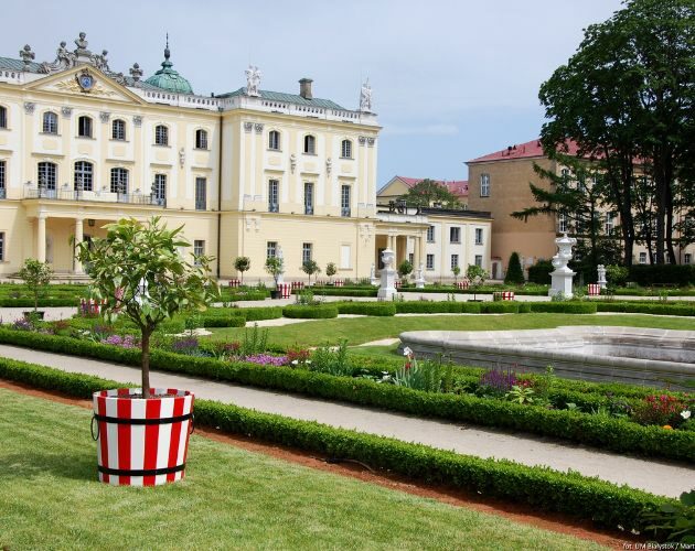 Kolorowe donice powróciły do Ogrodu Branickich. Będą  cieszyć oczy białostoczan