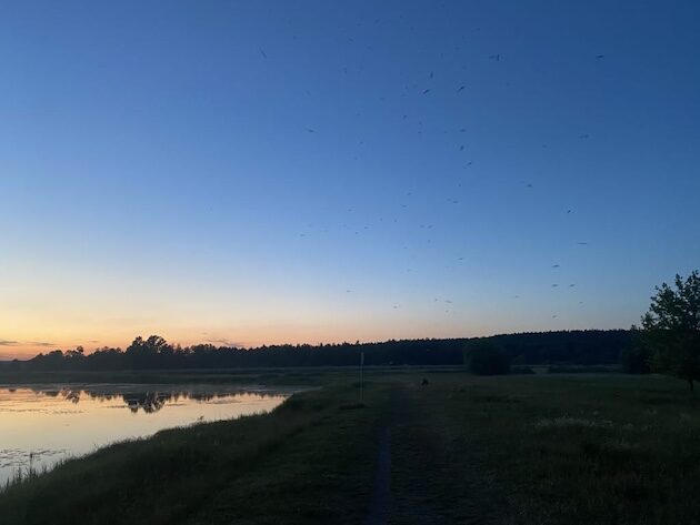 Z jaką pogodą rozpoczniemy nowy tydzień?