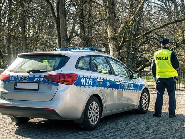 Dwóch mężczyzn siłą porwało 5-latkę. Na oczach matki