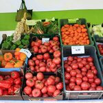 Porównanie cen owoców i warzyw. Sprawdź gdzie jest taniej!