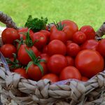 Sezon na pomidory trwa. Zobacz jakie przetwory możesz z nich przygotować! [PRZEPISY]