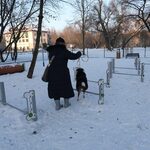 Na białostockim osiedlu powstanie psi park. Miasto szuka wykonawcy 