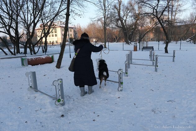 Na białostockim osiedlu powstanie psi park. Miasto szuka wykonawcy 