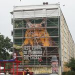 Powstaje nowy mural. Wielki ryś na ścianie białostockiego bloku