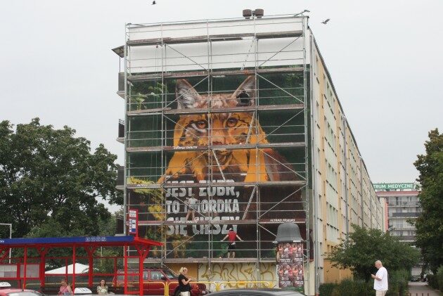 Powstaje nowy mural. Wielki ryś na ścianie białostockiego bloku