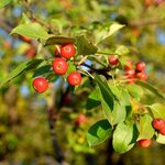 Weekend przyniesie kolejną falę upałów. Złapiemy jeszcze trochę letniego słońca 