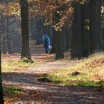 Ekstremalna susza w lasach. W Podlaskiem wprowadzono najwyższy stopień zagrożenia pożarem