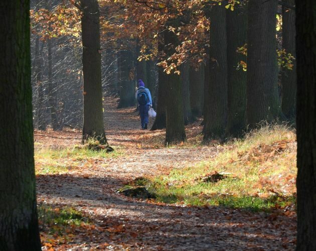 Ekstremalna susza w lasach. W Podlaskiem wprowadzono najwyższy stopień zagrożenia pożarem