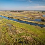 Narew i Biebrza. Jak nieregulowane rzeki chronią Podlasie przed powodzią?