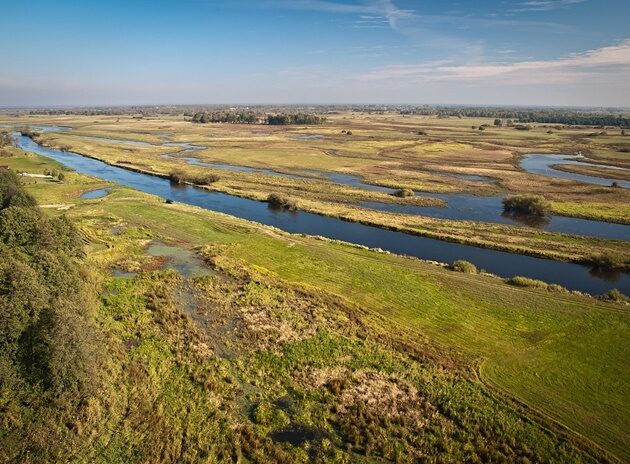 Narew i Biebrza. Jak nieregulowane rzeki chronią Podlasie przed powodzią?