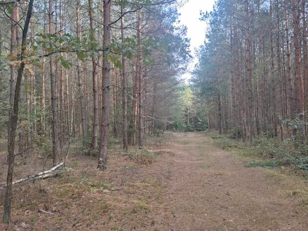 Ostatni dzień września w jesiennym stylu. Będzie chłodno, lecz słonecznie