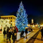 Na Rynku Kościuszki stanie 11-metrowa choinka. Znamy już szczegóły