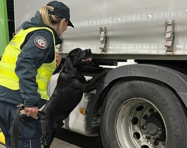 Udaremniono przemyt kontrabandy. Funkcjonariuszy KAS wspierał pies Denar