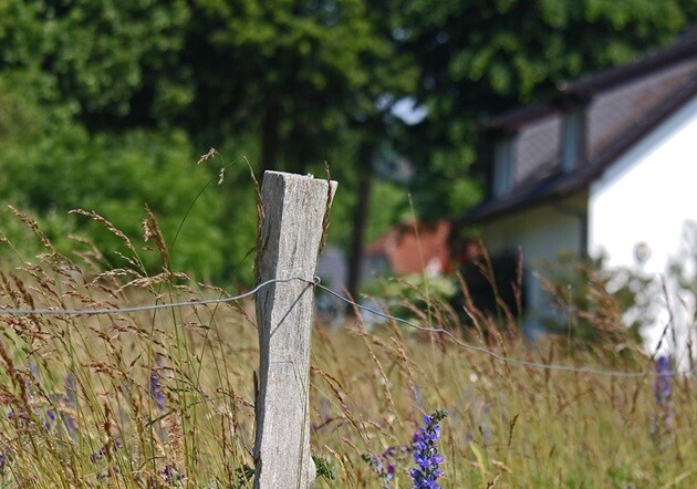 Skarbówka sprzedaje działki. Ceny wywoławcze robią wrażenie 