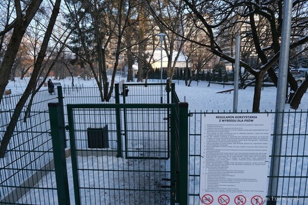 Psi park na Leśnej Dolinie. Miasto wciąż szuka wykonawcy 