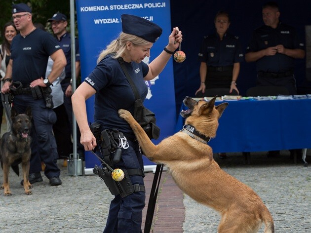 Masz super dzielnicowego? Zagłosuj na niego w plebiscycie