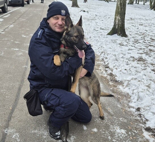 Nowy pies w białostockiej policji. Wiga zajmie się tropieniem narkotyków