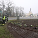 Wiosenne nasadzenia w Białymstoku. Trwają przygotowania do sezonu