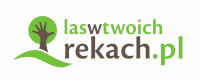 Las w Twoich Rękach